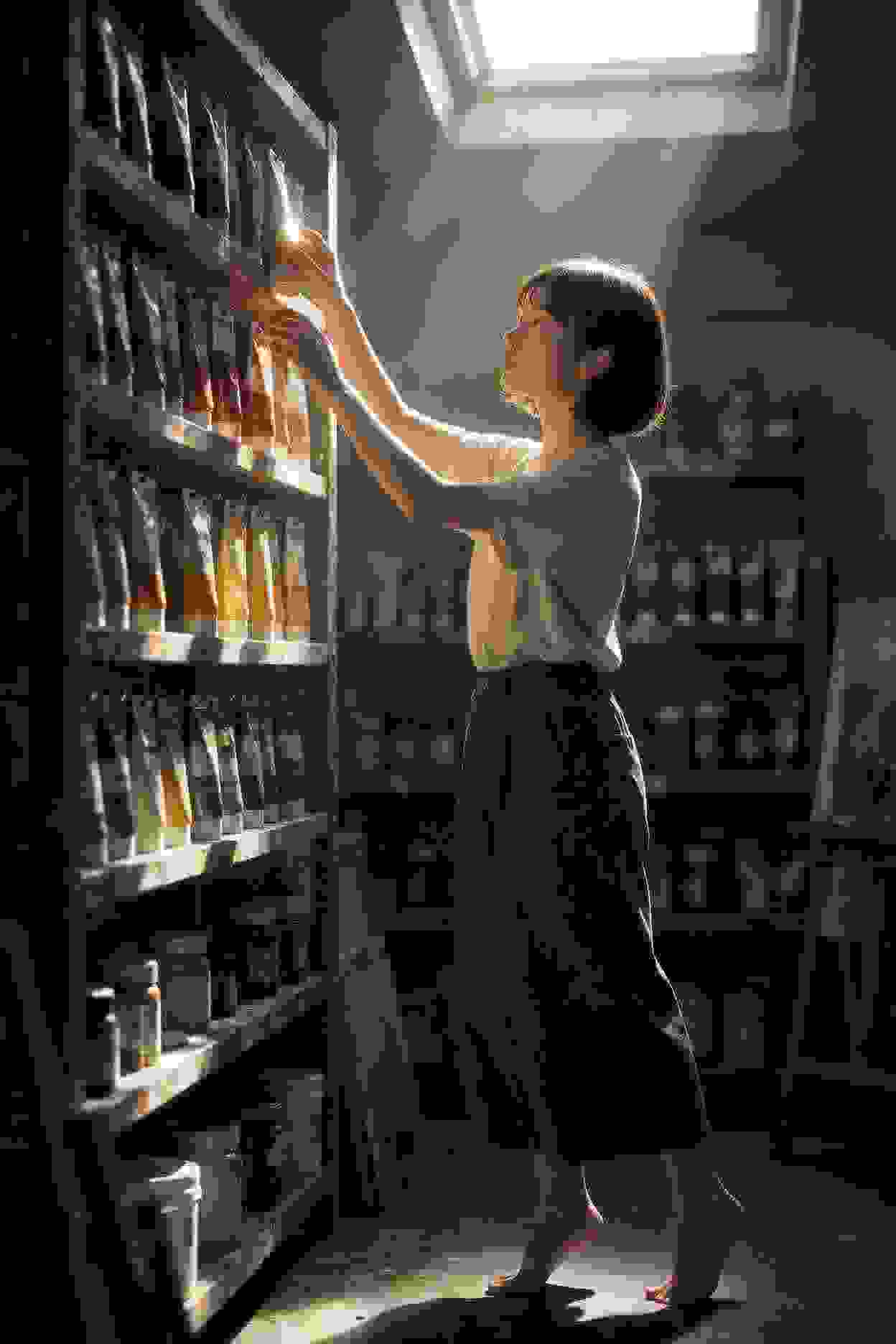龙域传说